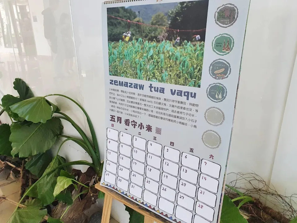 臺東大學與臺坂村啦里吧部落文健站合作，一同孕育出「排灣族農事曆」，以月曆形式紀錄一整年的農耕作息與智慧。